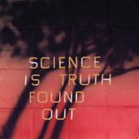 Ed Ruscha SCIENCE IS TRUTH FOUND OUT Scarf - Sold for $1,280 on 05-16-2026 (Lot 188).jpg